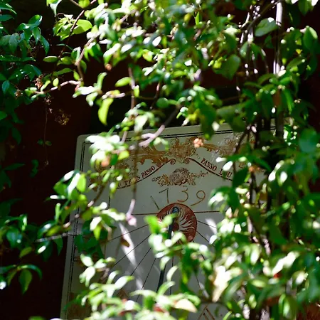 Des Aigras - & Restaurant De Charme En Provence Orange (Vaucluse)