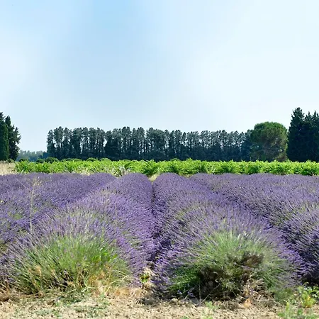 Des Aigras - & Restaurant De Charme En Provence Hotel 3*