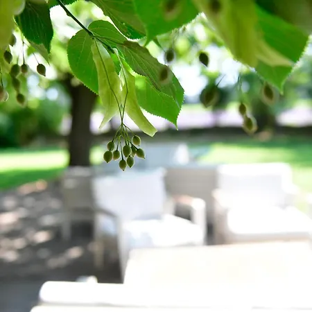 Hotel Des Aigras - & Restaurant De Charme En Provence